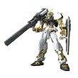 Gundam Seed 13 Gundam Astray Gold Frame 1/100 Scale