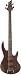 Musical Instruments : ESP LTD D4 Electric Bass (Natural Satin)
