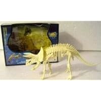 Triceratops Dinosaur Skeleton Jurassic Model
