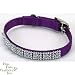 Coastal Pet Jeweled Nylon Dog Collar (Purple, 12 inch L x 3/8 inch W)