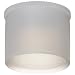 Kapsto 200 Z 20 x 14 Polyethylene Protective Cap, Natural, 20 mm Tube OD (Pack of 100)