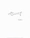 The Dog, Drawing on Paper by Pablo Picasso poster print,15.8 in. x 19.6 in.
