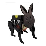 Bausatz mit Elektromotor RACING RABBIT