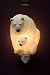 Flowers of Light Night Lights Polar Bear Ibis & Orchid Design