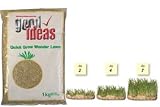 Outdoor Living : QUICK GROW WONDER LAWN/ BEAUTIFUL GREEN LAWN IN DAYS