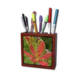 WhiteOak Photography Floral Prints Beautiful sunset colored flower Tile Pen Holders-5 inch tile pen holder