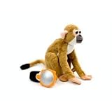 Discovery Kids - Talk and Translate Squirrel... by Discovery
