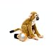 Discovery Kids - Talk and Translate Squirrel Monkey
