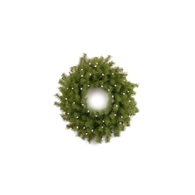 National Tree NF-308-24W-B 24 Norwood Fir Wreath with 50 Concave Soft White LED... by National Tree