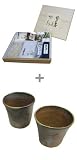 CONCENT ＜信州松本こばやし＞ 伝承の手打ち生そば[極実]＋焼酎マグセット