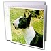 Dogs Miniature Bull Terrier - Miniature Bull Terrier - Greeting Cards-12 Greeting Cards with envelopes