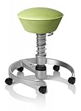 SWOPPER CLASSIC 3D-Aktiv-Bürostuhl Hocker Sitzpolster Normal, Farbe pistacchio, Fussring mit Speedrollen, Feder MEDIUM, Basis Titan, Federfarbe wie Basis (SWOP22TRS)