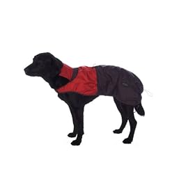 Designer Rain Jacket, Large - Colors May Vary