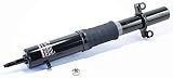 88-93 Dodge Dynasty Rear Air Strut Assembly AC Delco 50885