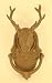 Cast Iron Deer Head Door Knocker
