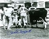 Phil Rizzuto autographed 8x10 Photo (New York Yankees) Knocked Down By Cow (Steiner Hologram)