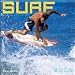 Surf 2009 Wall Calendar