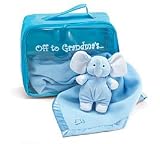 Off To Grandma's - Baby Blue Suitcase