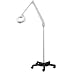 2X Dazor Stand Model with Rolling Casters