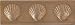 Brass Elegans 52S AB Antique Brass Shell Traditional Shell 6