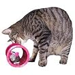 Our Pets Play-N-Squeak, Roll-N-Squeak