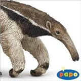 papo�ʥѥݼҡ˥ե����奢 50152 �������ꥯ��