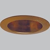 Progress 5 inch deep cone. - Copper Finish