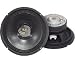 Musical Instruments : PYLE PPA-8 Professional Premium Pa Woofer