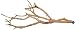 Golden West Manzanita Branch Perch Sandblasted