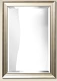 Review PosterPanda.com  / 12x12 Silver Contemporary Wood Frame - Wall Mirror