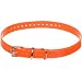 SportDOG 3/4