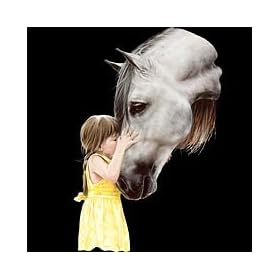 Girl & Horse~the Kiss Adult Sweatshirt