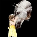 Girl & Horse~the Kiss Youth Sweatshirt