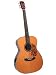 BLUERIDGE 000 GUITAR