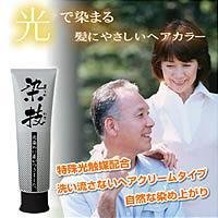 染技（そめわざ）100g