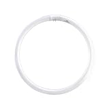 ASL CIR40/41K 40-Watt Circline 4-Pin Electronic/Magnetic Ballast Bulb, Cool White