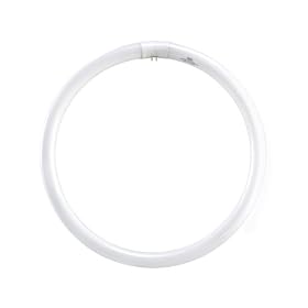 ASL CIR40/41K 40-Watt Circline 4-Pin Electronic/Magnetic Ballast Bulb, Cool White