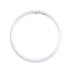 Buy ASL CIR40 41K 40-Watt Circline 4-Pin Electronic Magnetic Ballast Bulb, Cool White now!