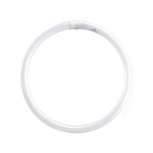 ASL CIR40/41K 40-Watt Circline 4-Pin Electronic/Magnetic Ballast Bulb, Cool White