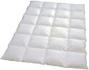 H&auml;ussling Reformetta Kassettenbett Steppdecke 8x8 mit Federn / Daune 200x200 (WR 3-8-31)