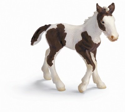 Schleich Tinker Foal 13295 31HzonUeOjL Schleich Tinker Foal 13295