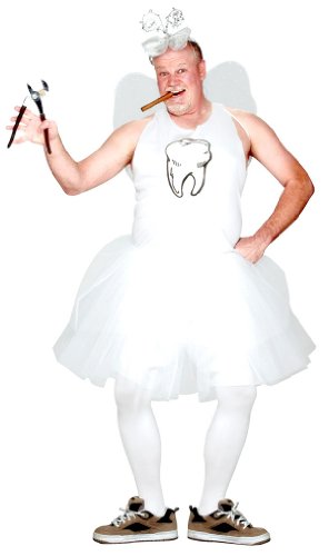 Fun World's Tooth Fairy Plus Size Costume