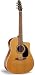 Seagull Performer Cutaway Gloss Top Quantum II Acoustic-Electric Guitar