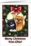 Merry Christmas from Ohio, kitty cat and Chihuahua in holiday wreath Card