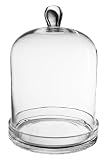Glass Cloche, Plant Terrarium. (1 pcs) - JUMBO Glass Cloche, Plant Terrarium. (1 pcs) - JUMBO