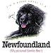 Newfoundland Proud Owner Womens Scoop Neck T-Shirt