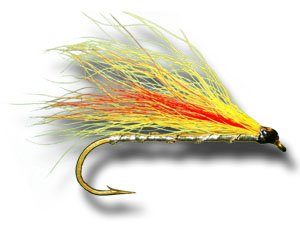 Mickey Finn Fly Fishing Fly