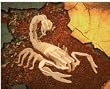 Scorpion 3D Woodcraft Construction Kit