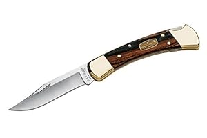 Buck Knives 110BRS Folding Hunter Knife