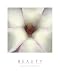 Beauty - White Magnolia, Motivational Poster